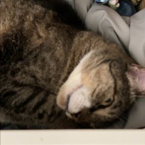 Meet your Posher, Andrew